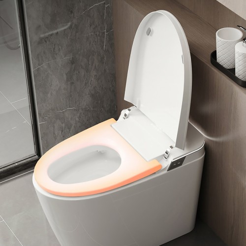 White & Grey Luxury Modern Smart Toilet 