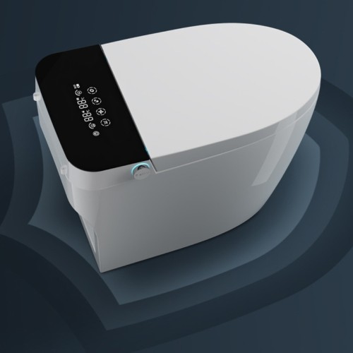 Smart Flush Toilet With Modern Design 