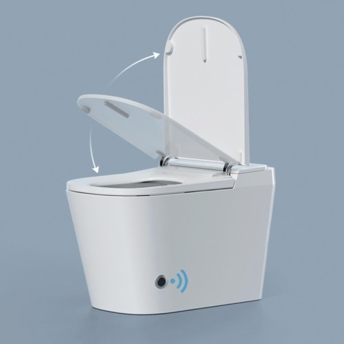 Japanese Style Smart Toilet Bowl