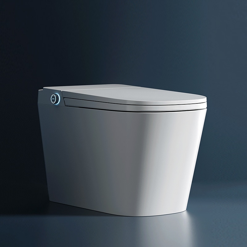 Japanese Style Smart Toilet Bowl