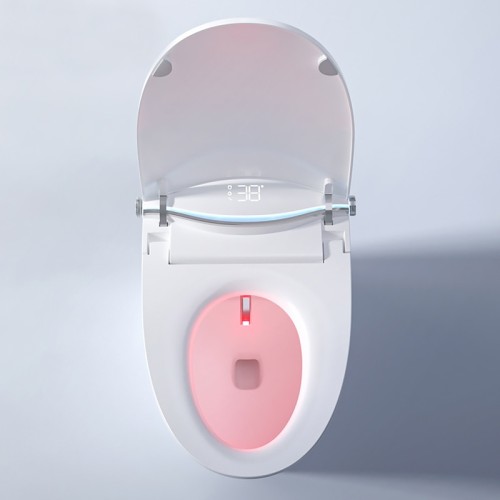 High End Toilet With Remote Control