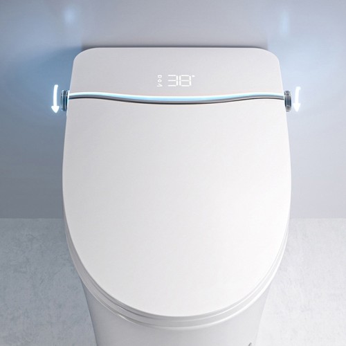 High End Toilet With Remote Control