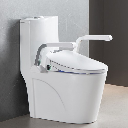 ADA Grab Bar Toilet for the Elderly