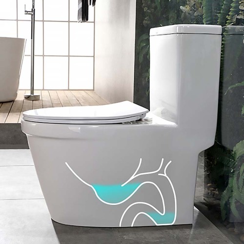 Siphonic One Piece Toilet