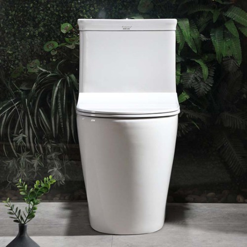 One Piece Comfort Height Toilet