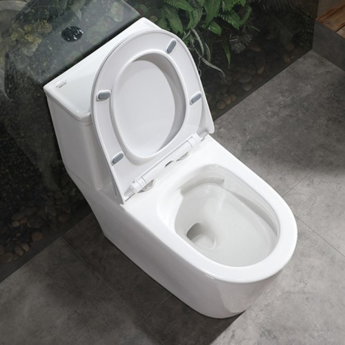 One Piece Comfort Height Toilet