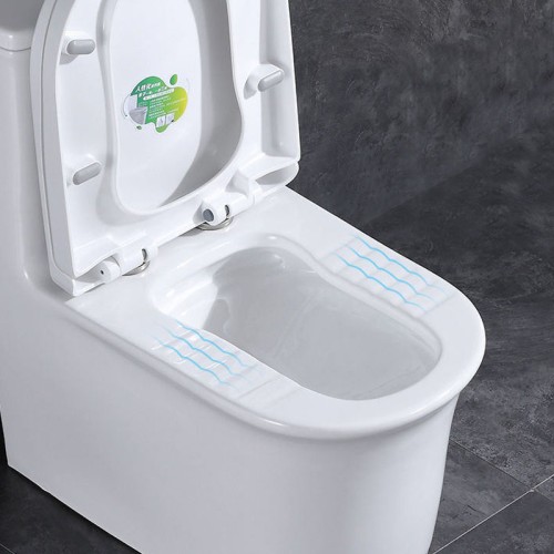 2 in 1 Sit Squat Hybrid Toilet