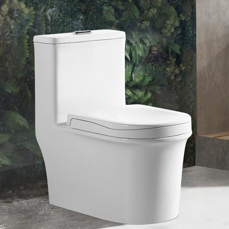 2 in 1 Sit Squat Hybrid Toilet