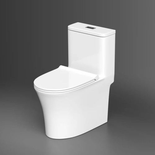 Modern One Piece Round Toilet