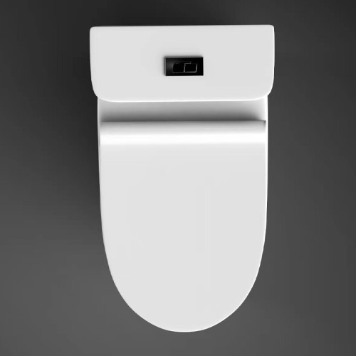 Modern One Piece Round Toilet