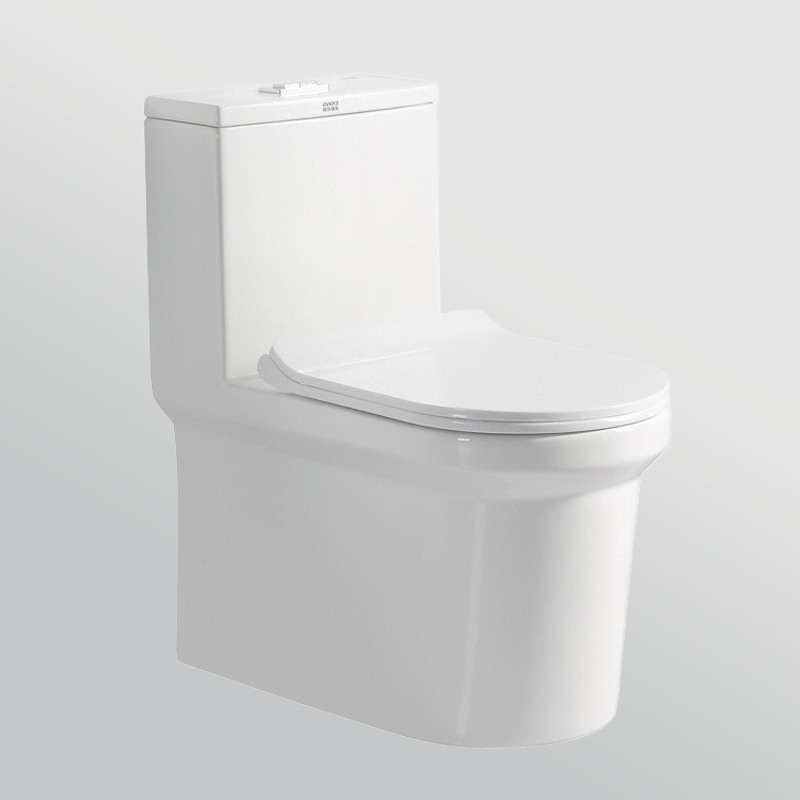 Modern Dual Flush Round Toilet