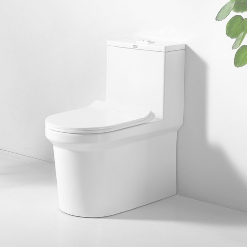 Modern Dual Flush Round Toilet