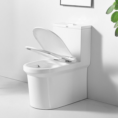 Modern Dual Flush Round Toilet