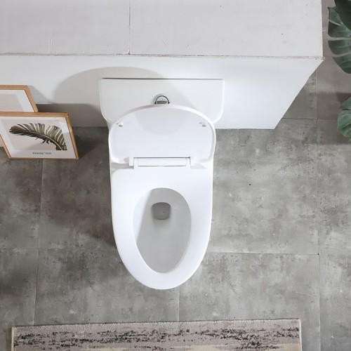 One Piece Western Toilet China Supplier