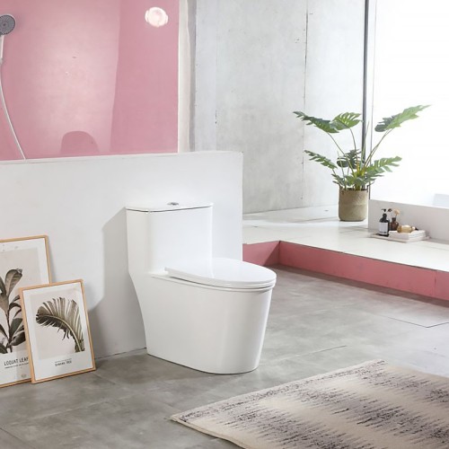 One Piece Western Toilet China Supplier