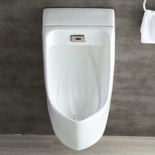 China Floor and Wall Electric Urinal