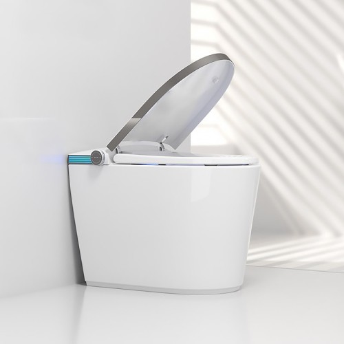 Space Saving Waterproof Smart Toilet