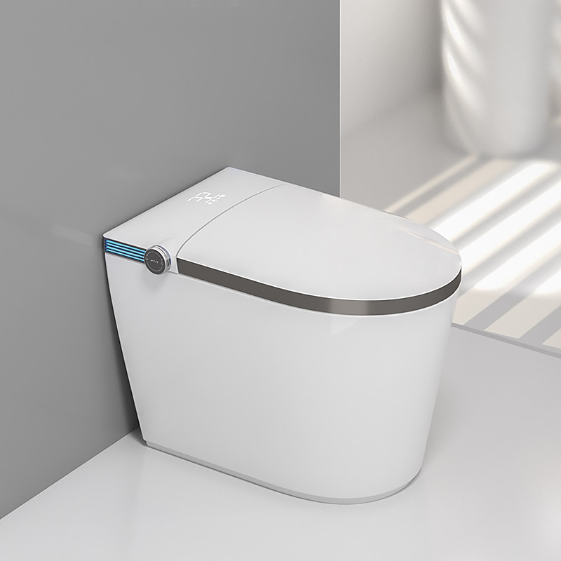 Space Saving Waterproof Smart Toilet