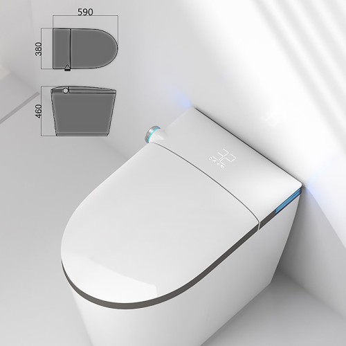 Space Saving Waterproof Smart Toilet