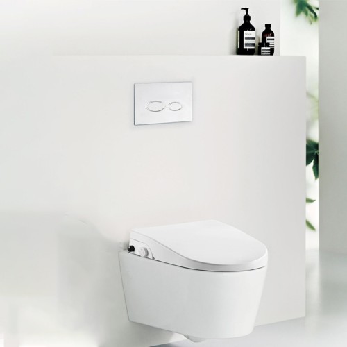 Compact Wall Hung Toilet Frame and Cistern