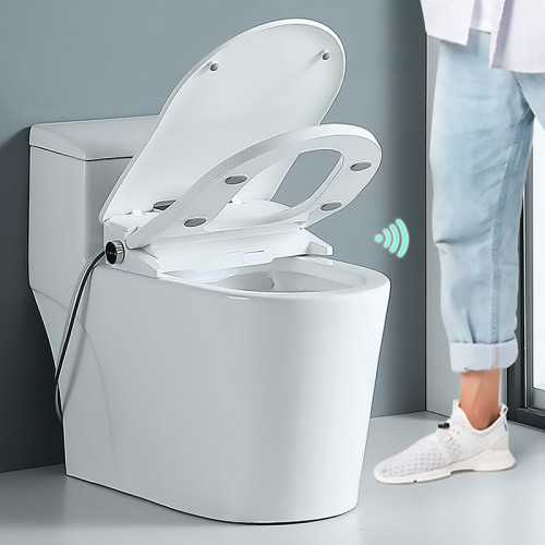 Round Bidet Toilet Seat With Dryer