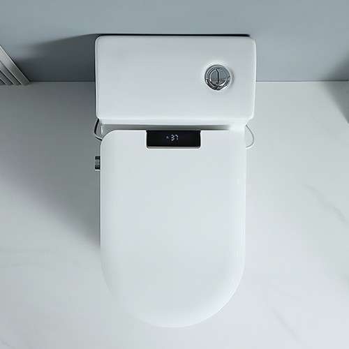 Round Bidet Toilet Seat With Dryer