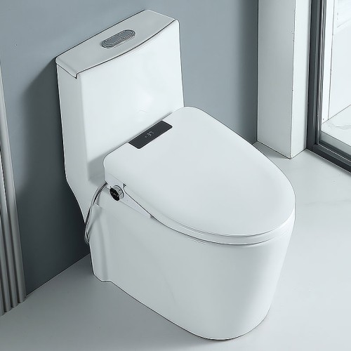 Self Cleaning Bidet Toilet Seat 