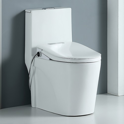 Self Cleaning Bidet Toilet Seat