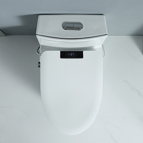 Self Cleaning Bidet Toilet Seat