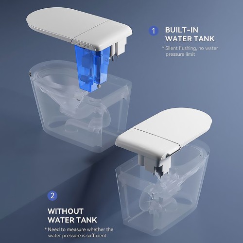 Rimless Back to Wall Toilet With Concealed Cistern