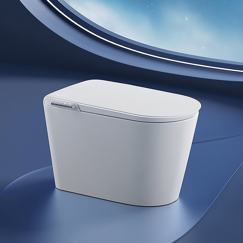 Rimless Back to Wall Toilet With Concealed Cistern