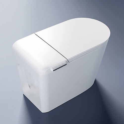 Rimless Back to Wall Toilet With Concealed Cistern