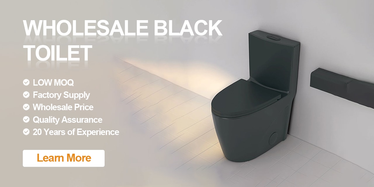 modern black toilet