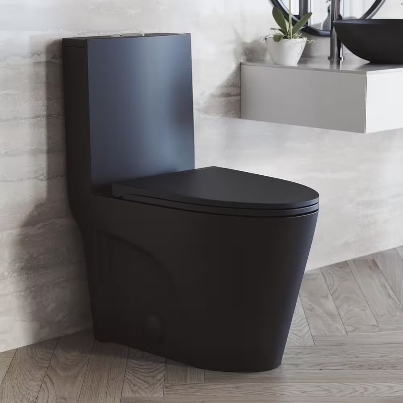 One-Piece Black Toilet