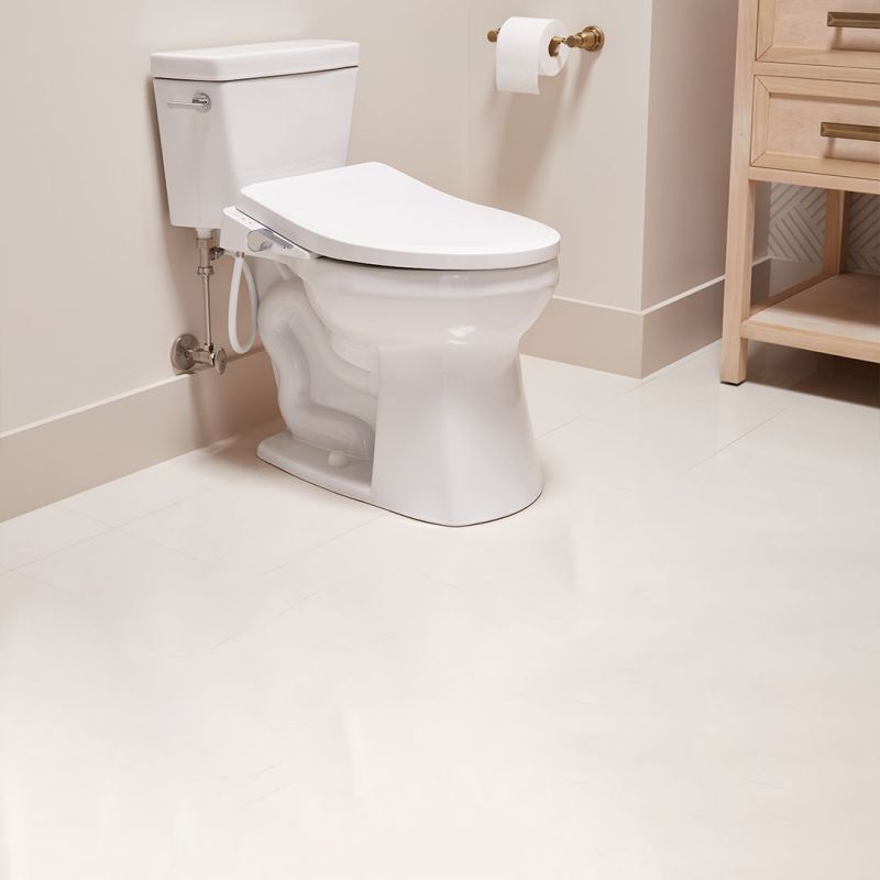 Bidet Buying Guide: How to Choose the Best Bidet