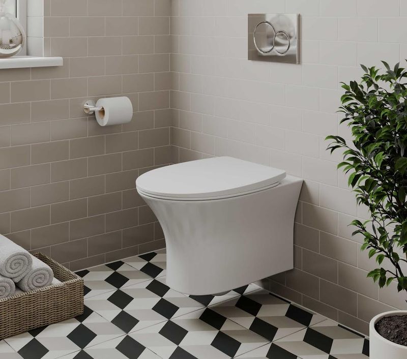 wall hung toilet