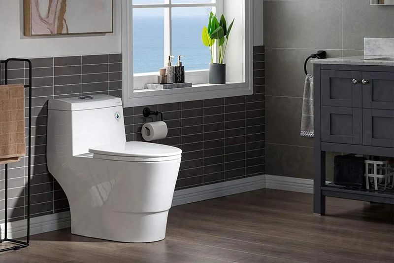 best rated dual flush toilets