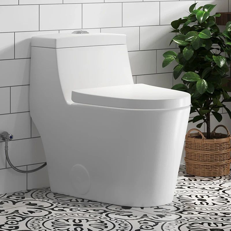 11 Common Dual Flush Toilet Problems and Expert Solutions