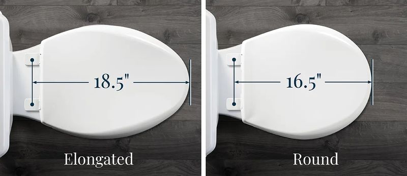 Elongated vs Round Toilet Dimensions