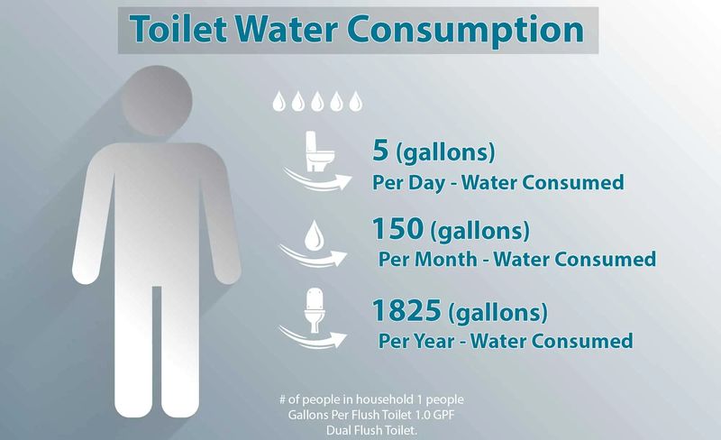 toilet water consumption