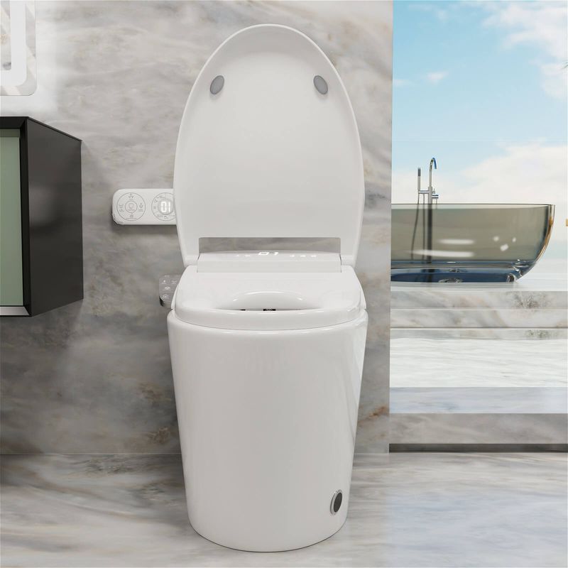 Bidet Toilet Seat Installation