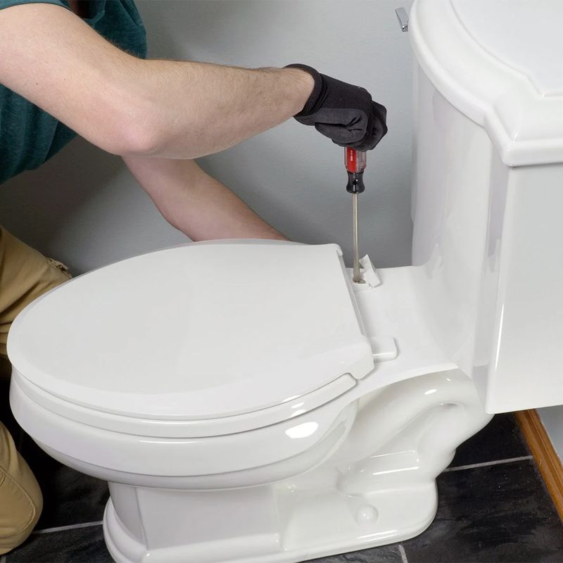 How to Remove a Toilet Seat (in Less Than 2 Minutes)