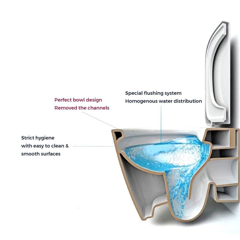 How Do Rimless Toilets Work