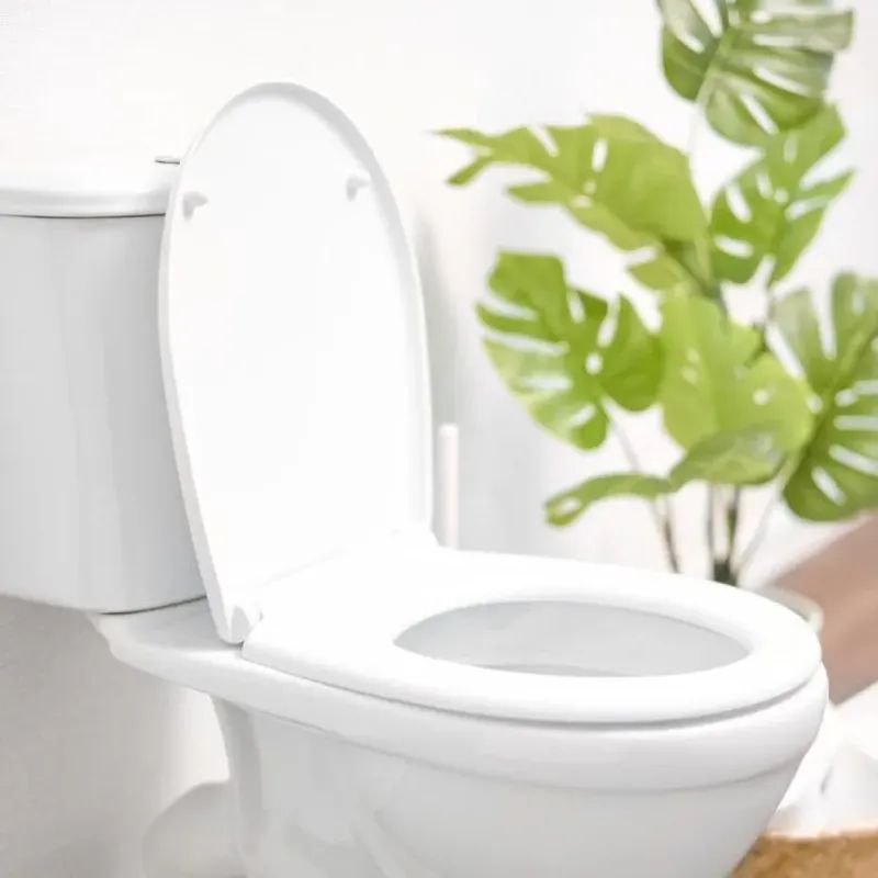 Average Toilet Size: How to Measure Toilet Bowl Dimension