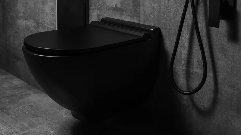 matte black toilet