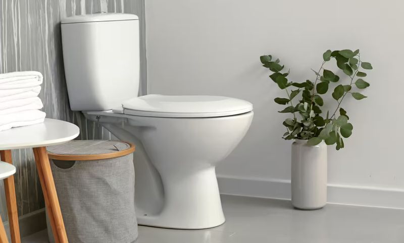 average cost to replace a toilet