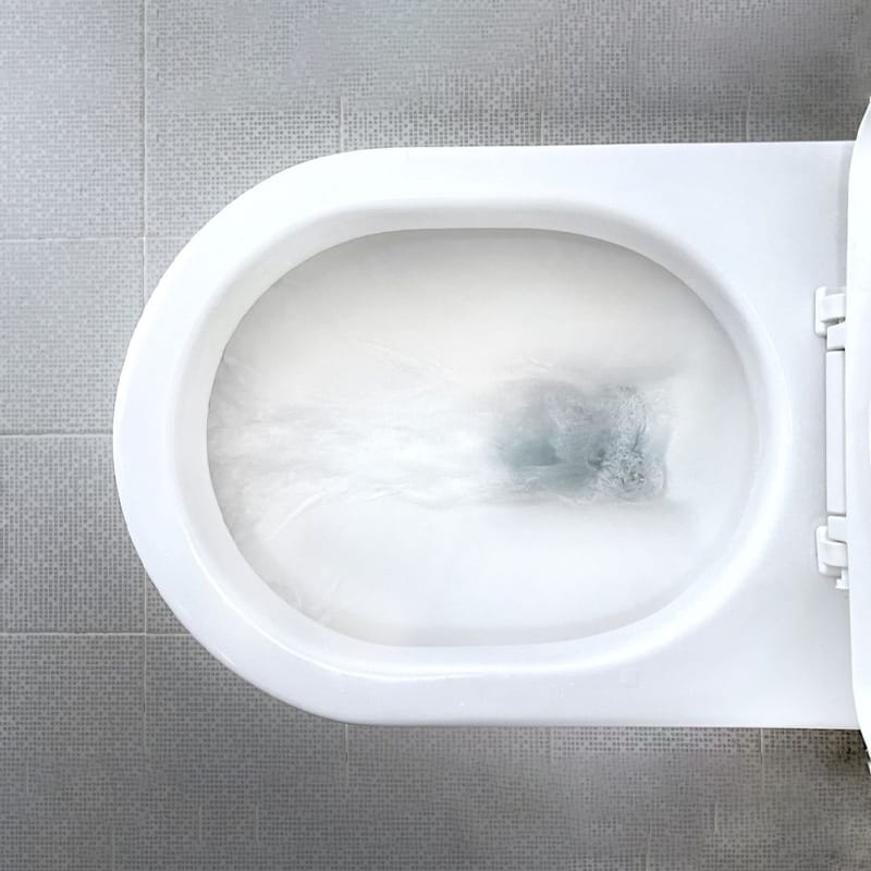 6 Common Toilet Bowl Shapes: Which One is Better for You? 