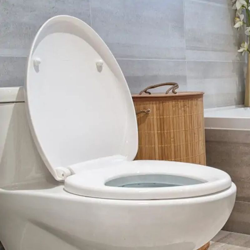 Types of Toilet Seats: What to Know Before Buying