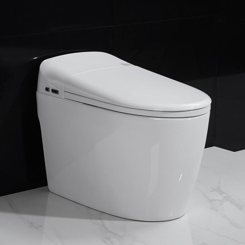 Floor Mounted Western Toilet