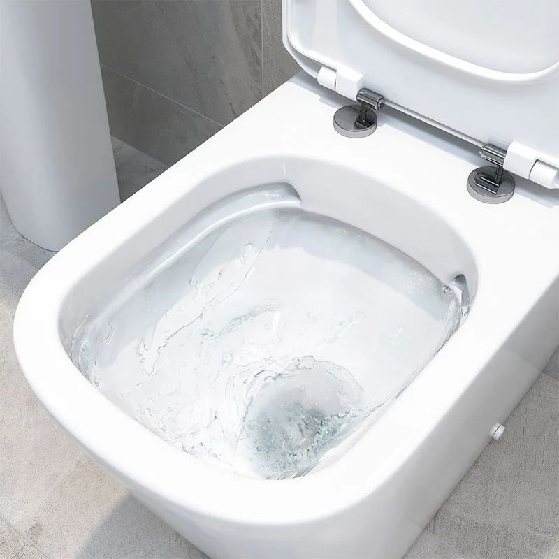 What is a Rimless Toilet? Are Rimless Toilets Any Good?